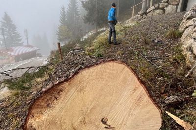 Starkholz Allgäu